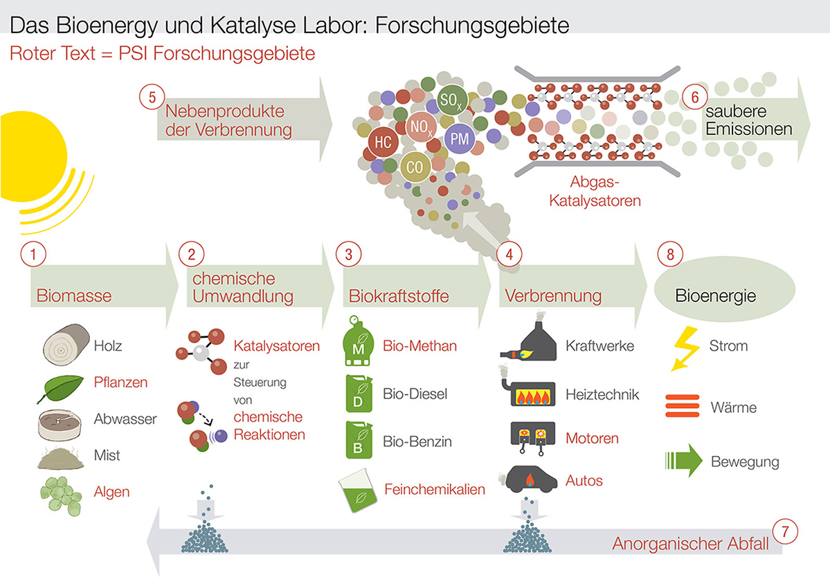 Infografik für PSI (Paul Scherrer Institute, Baden). Übersicht der Forschungsgebiete der PSI im Berich Bioenergie